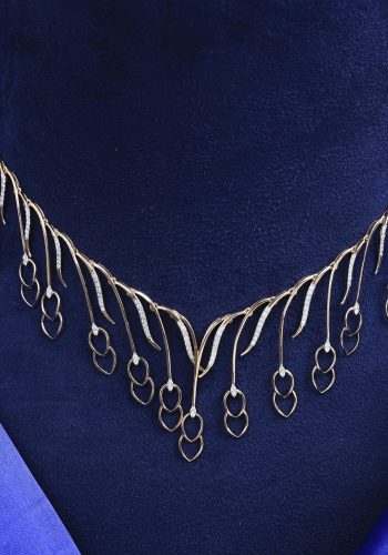 Portfolio طلبية ابونبيل